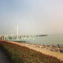 ׶